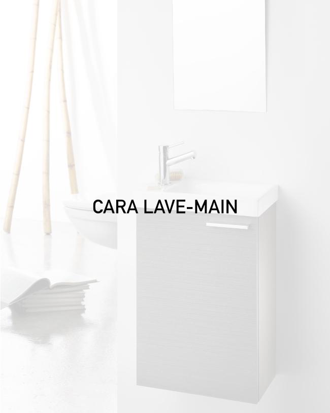 CARA LAVE MAIN